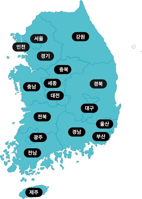 전체